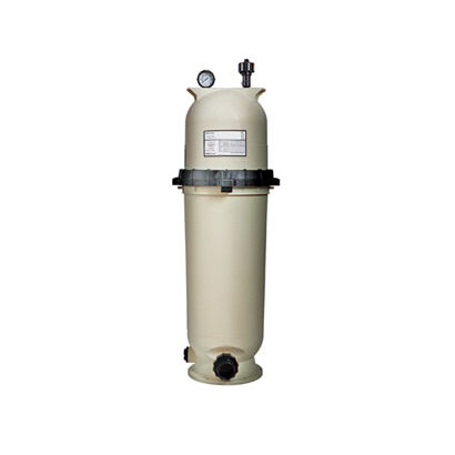 Easyclean D.E. Filter